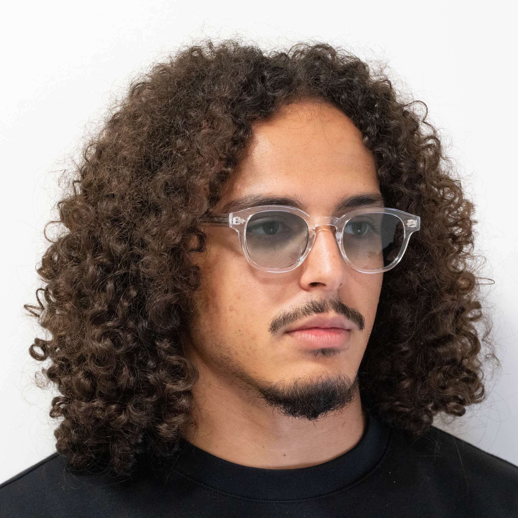Lunettes de soleil Albert transparente verres dégradés verts mixte