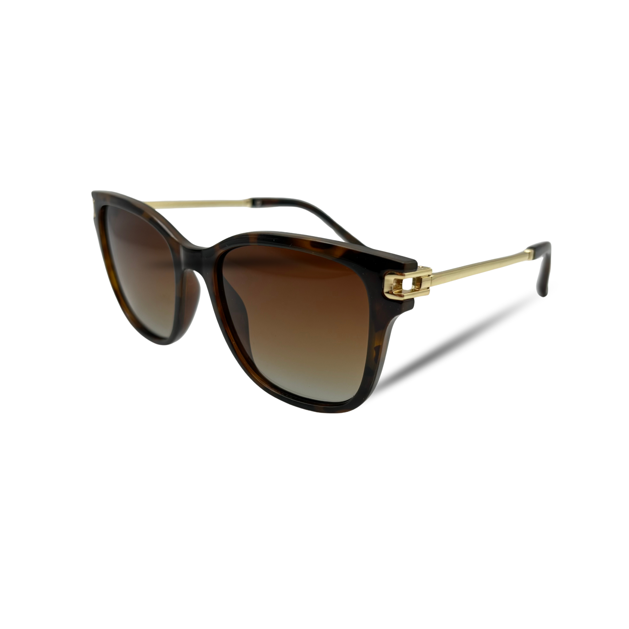 Eden écaille verre dégradé marron polarisée-thumbmail-2