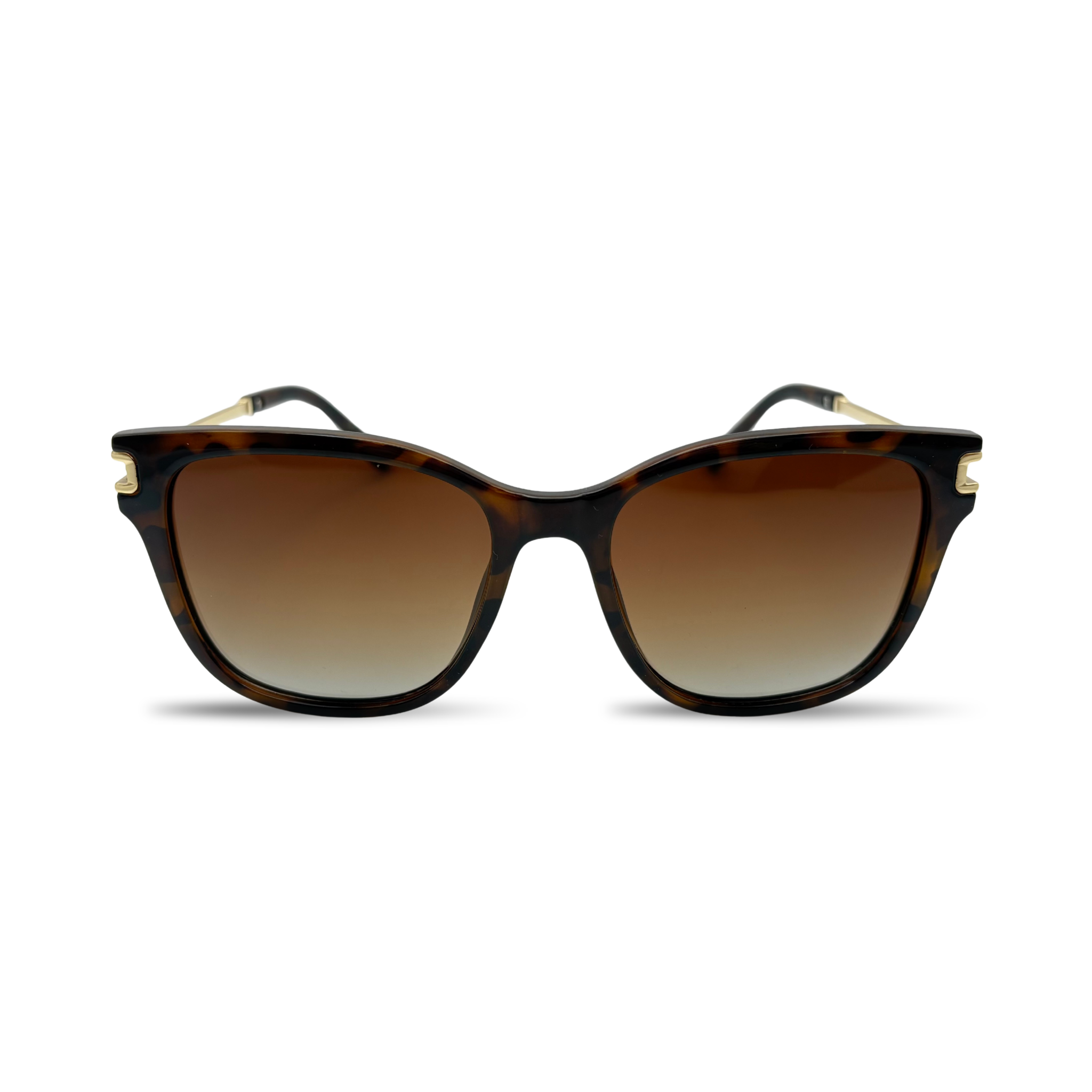 Eden écaille verre dégradé marron polarisée-thumbmail-1
