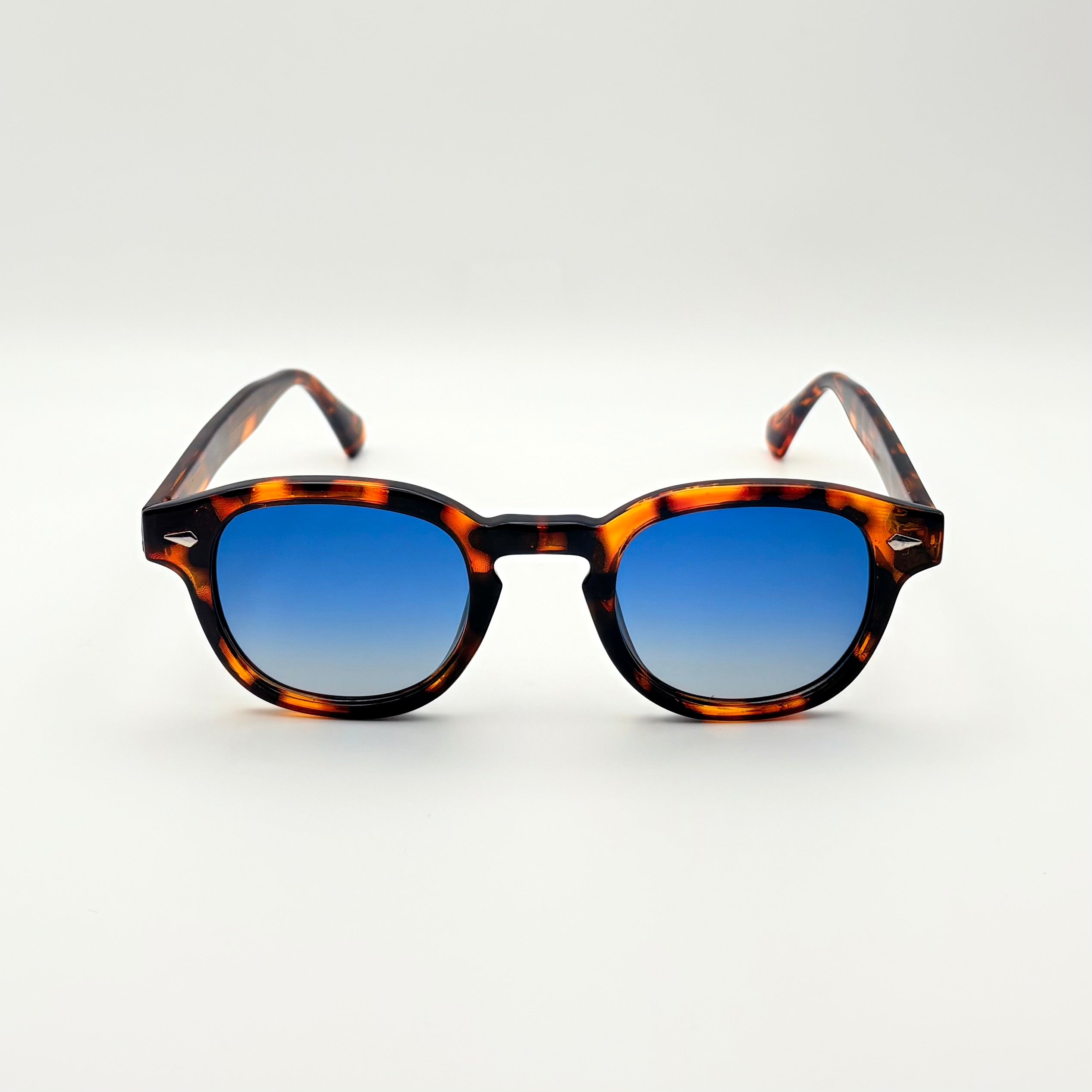 Albert écaille verre dégradé bleu polarisée-thumbmail-1